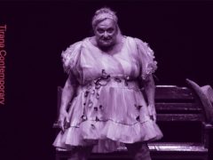 CC4WBs Project: Festival of Contemporary Theatre Tirana (Mediums)